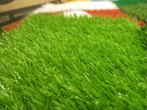 人造草坪仿真彩色草皮户外室外塑料地垫楼顶假草坪